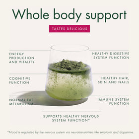 WelleCo The Super Elixir Poudre de Super Greens 300g ingrédients