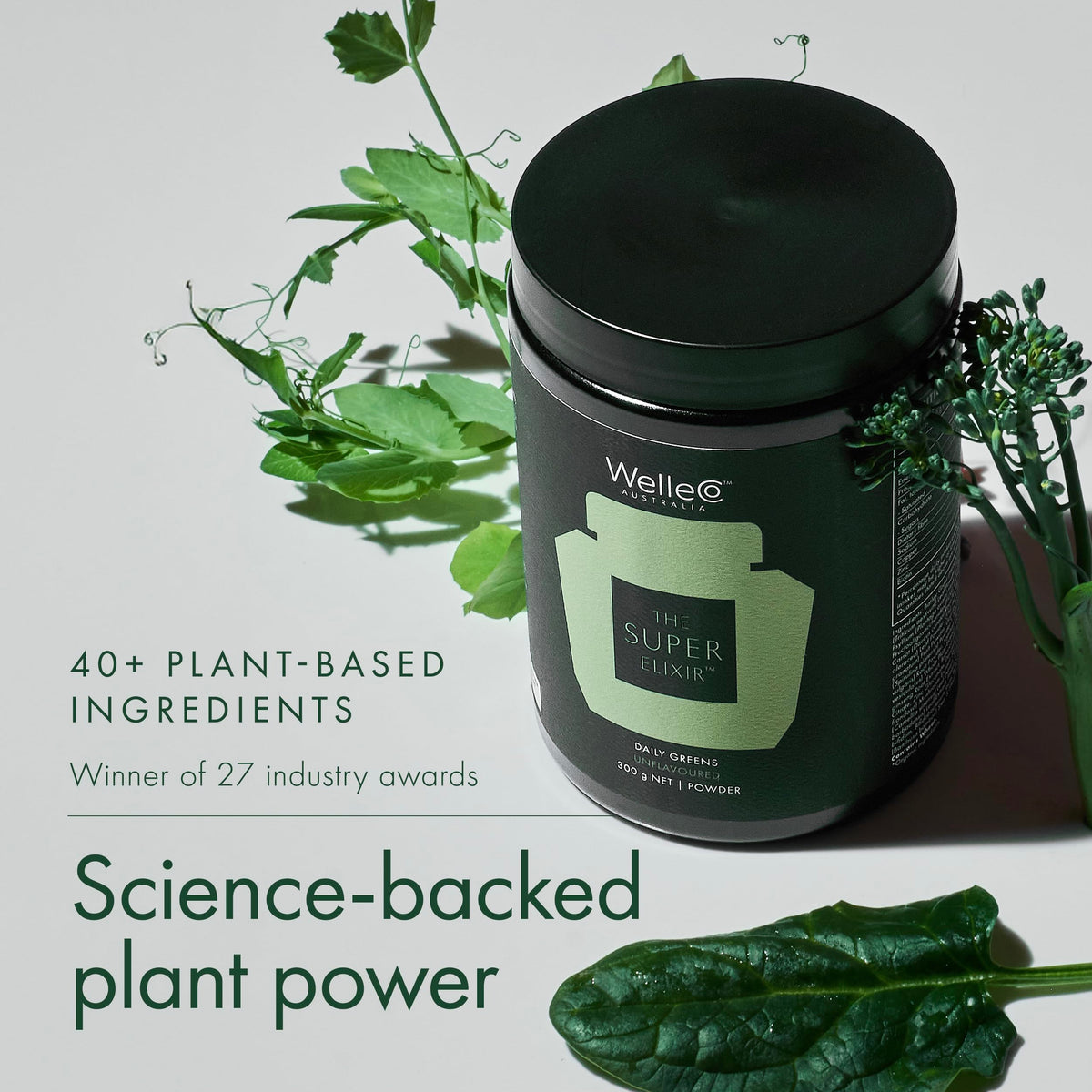 WelleCo The Super Elixir Poudre de Verts 300g avec ingrédients
