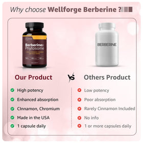 WellForge Berbérine Phytosome 550mg avec Cannelle de Ceylan et Chrome