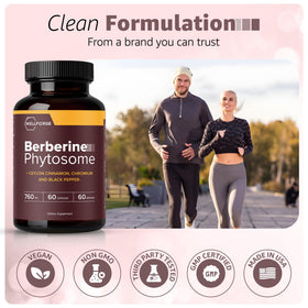 WellForge Berbérine Phytosome 550mg en contexte de santé