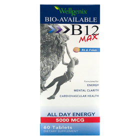 Wellgenix B12 sublingual 60 comprimés emballage avant