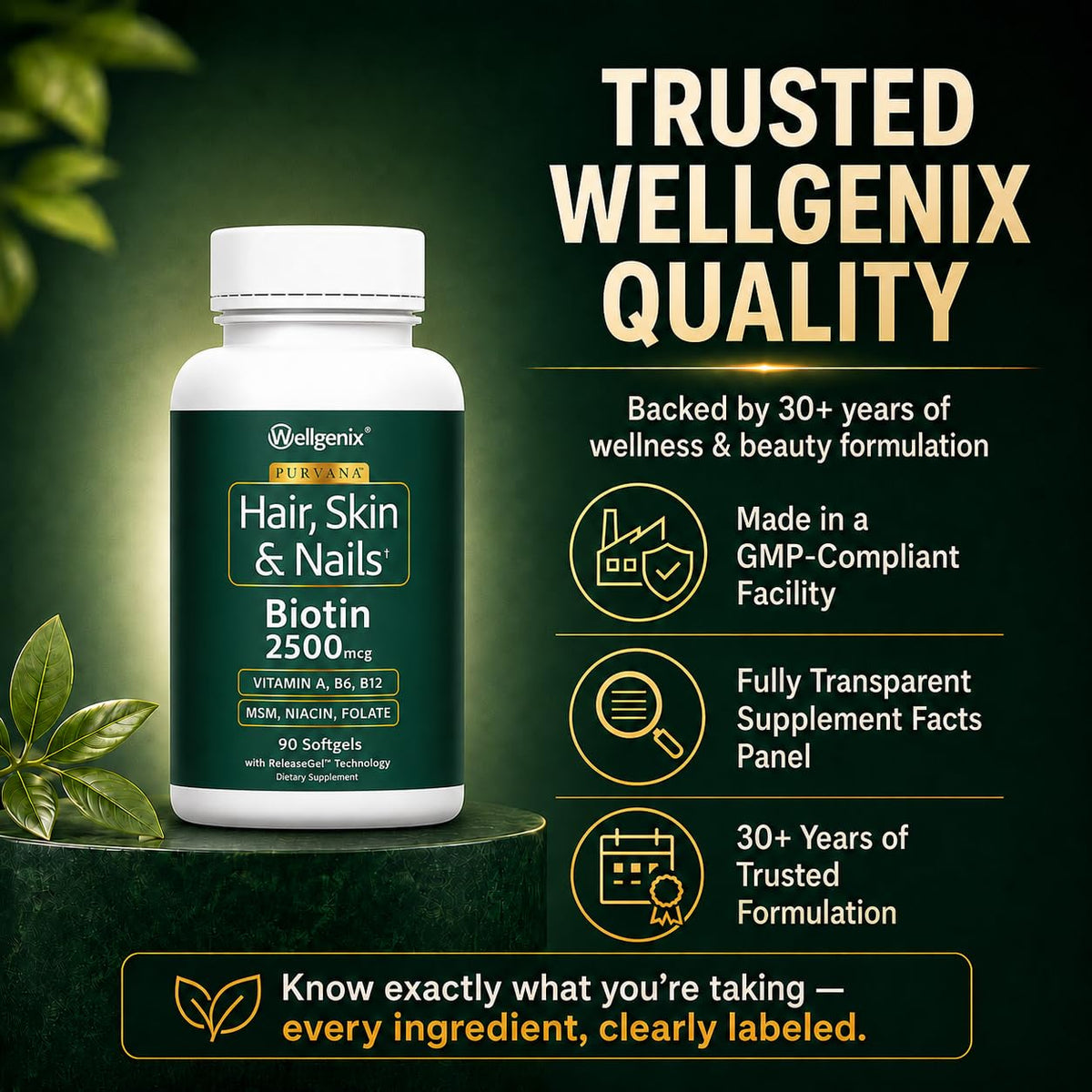 Wellgenix Purvana 2500mcg Biotine gélules en gros plan