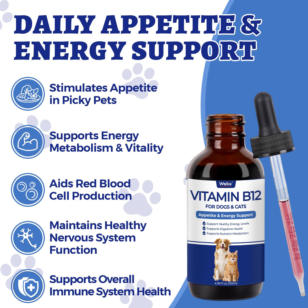 Wellix B12 liquide 120 ml avec étiquette visible