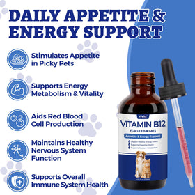 Wellix B12 liquide 120 ml avec étiquette visible