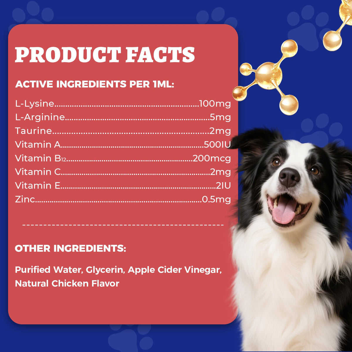 Wellix L-Lysine Liquide 118 ml pour Chats et Chiens, présentation en environnement domestique