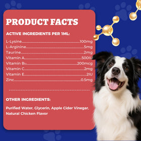 Wellix L-Lysine Liquide 118 ml pour Chats et Chiens, présentation en environnement domestique