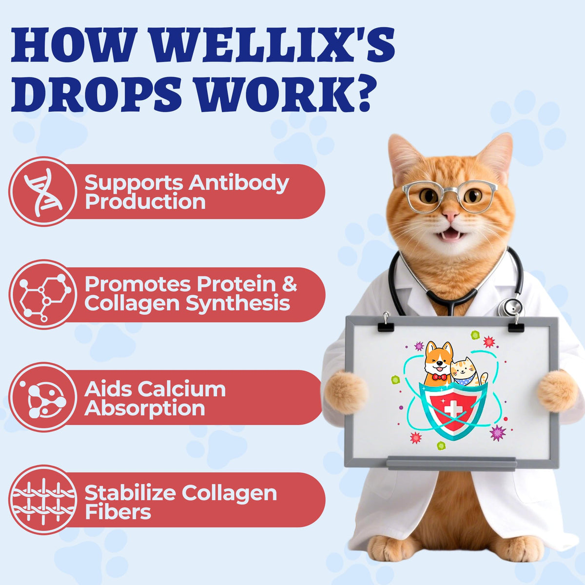 Wellix L-Lysine Liquide 118 ml pour Chats et Chiens, vue arrière