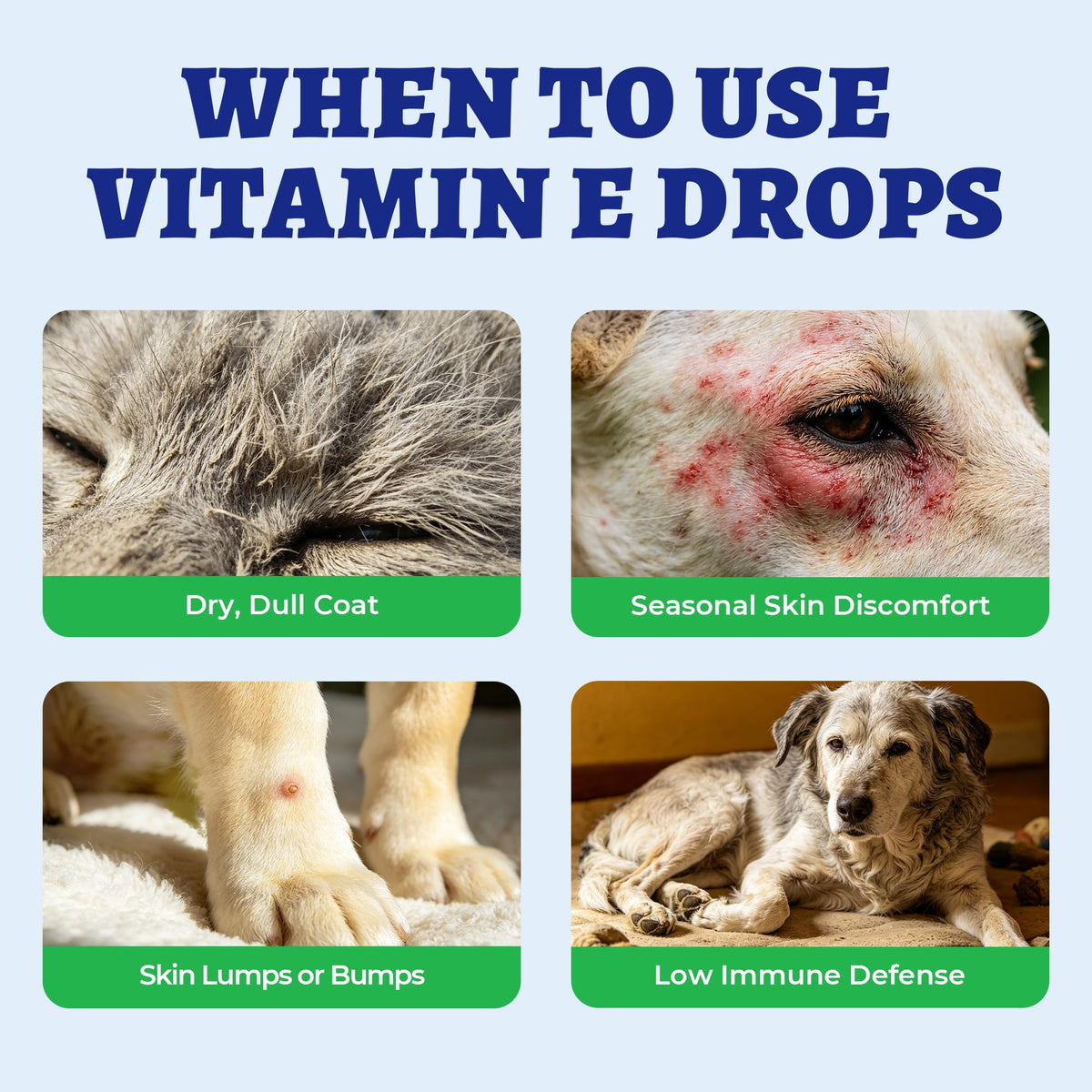 Wellix Vitamine E versé dans une cuillère