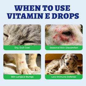 Wellix Vitamine E versé dans une cuillère