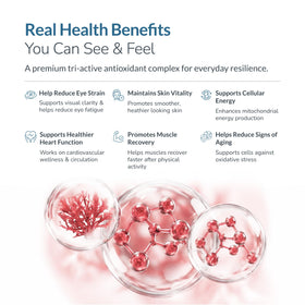 WELLNESS EXTRACT Astaxanthin 12mg gélules molles, gélules sur une cuillère