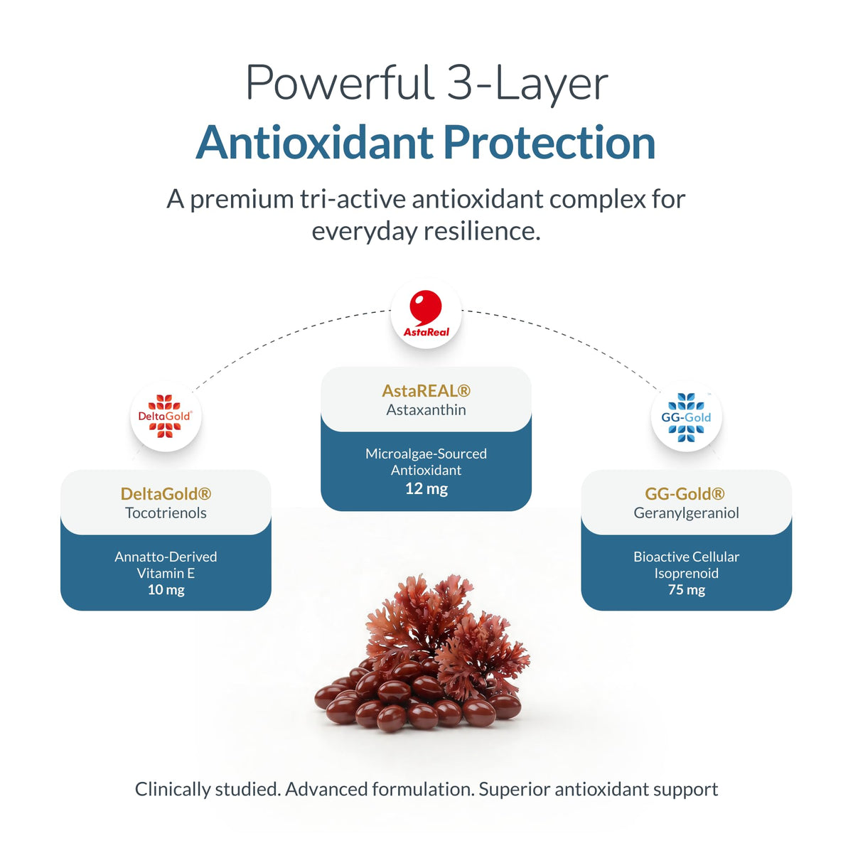 WELLNESS EXTRACT Astaxanthin 12mg gélules molles, vue de côté de la boîte