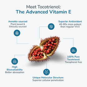 WELLNESS EXTRACT Eannatto Tocotrienols 300mg gélules dans une main