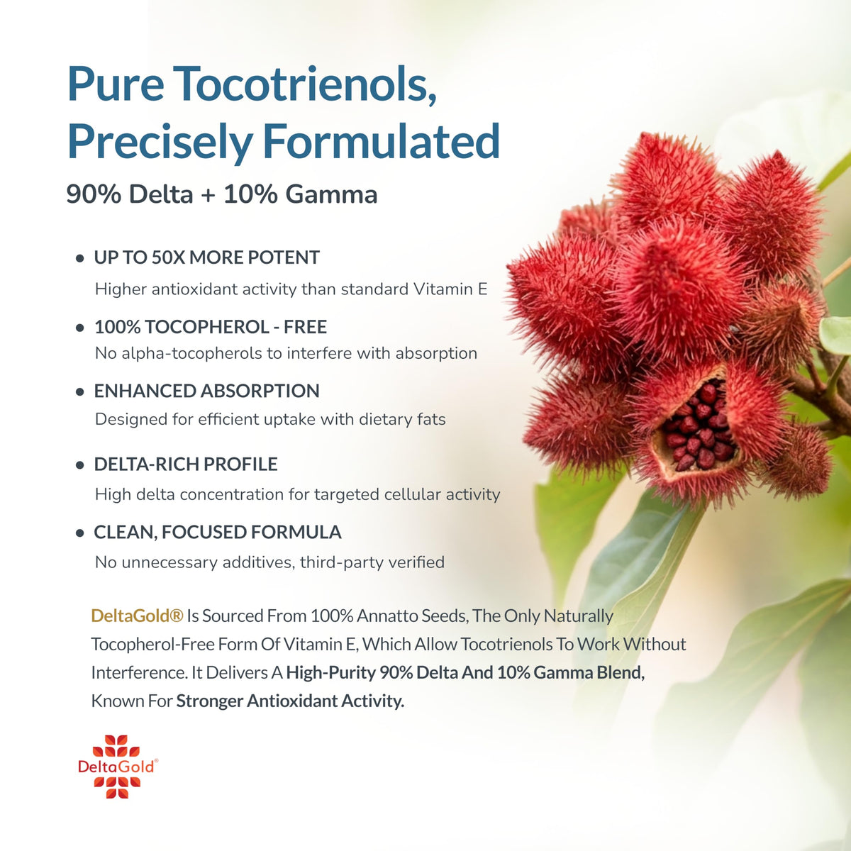 WELLNESS EXTRACT Vitamine E gélules molles ouvertes sur une table