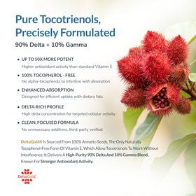 WELLNESS EXTRACT Vitamine E gélules molles ouvertes sur une table