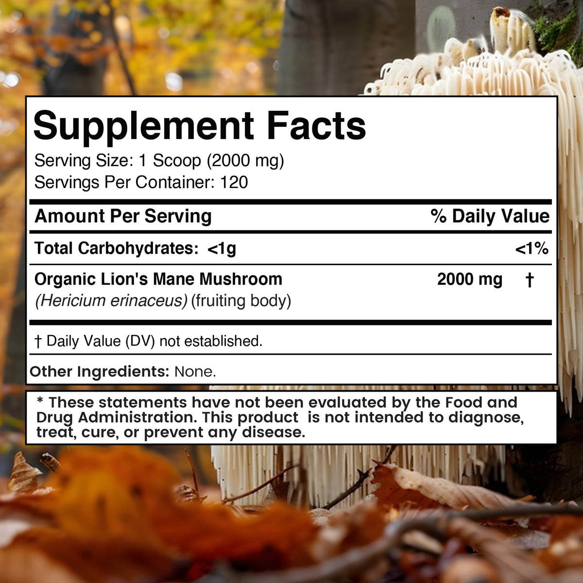 WELLNESS LABSRX Poudre de Champignon Lion's Mane 2000mg emballage