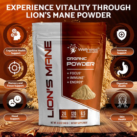 WELLNESS LABSRX Poudre de Champignon Lion's Mane 2000mg en poudre