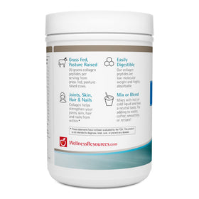 Wellness Resources Collagen Peptides 500g powder texture