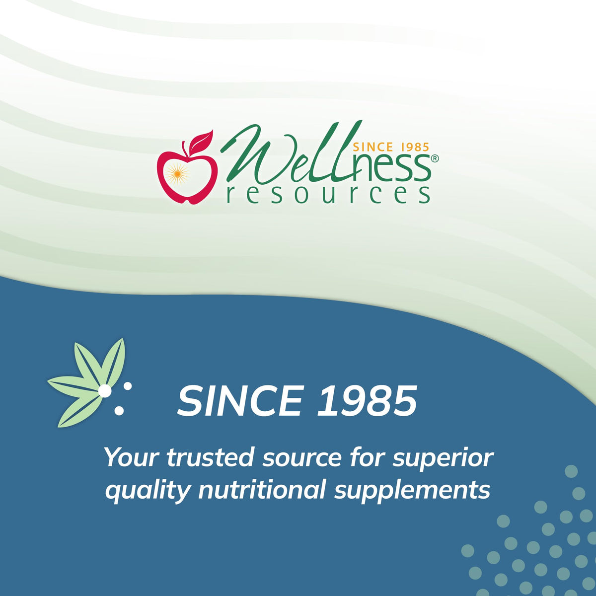 Wellness Resources I3C + DIM, vue de dos de l'emballage