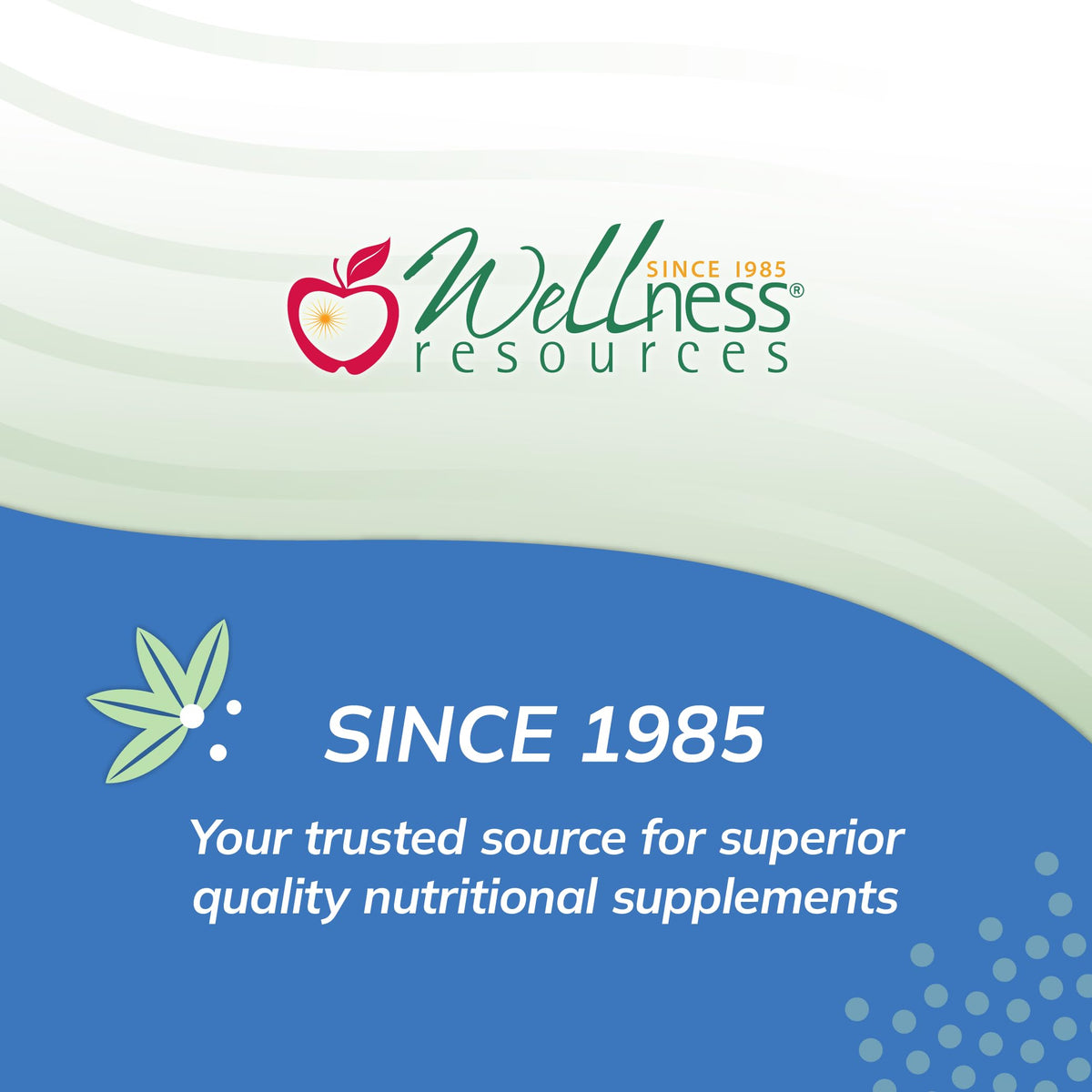 Wellness Resources Super Mini-Multi Capsules avec des fruits et des légumes