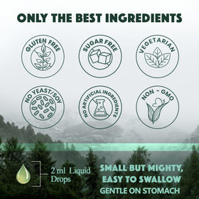 WellVeraVida Calcium Magnésium Zinc Liquide avec ingrédients naturels