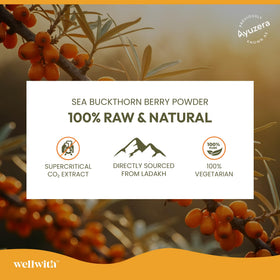 Wellwith Huile de Baie d'Églantier 500mg gélules sur un fond naturel