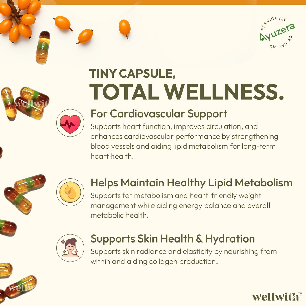 Wellwith Huile de Baie d'Églantier 500mg gélules végétales arrière