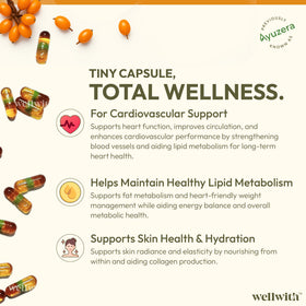 Wellwith Huile de Baie d'Églantier 500mg gélules végétales arrière