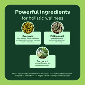 WellWithAll Cholesterol Support 60 capsules côté