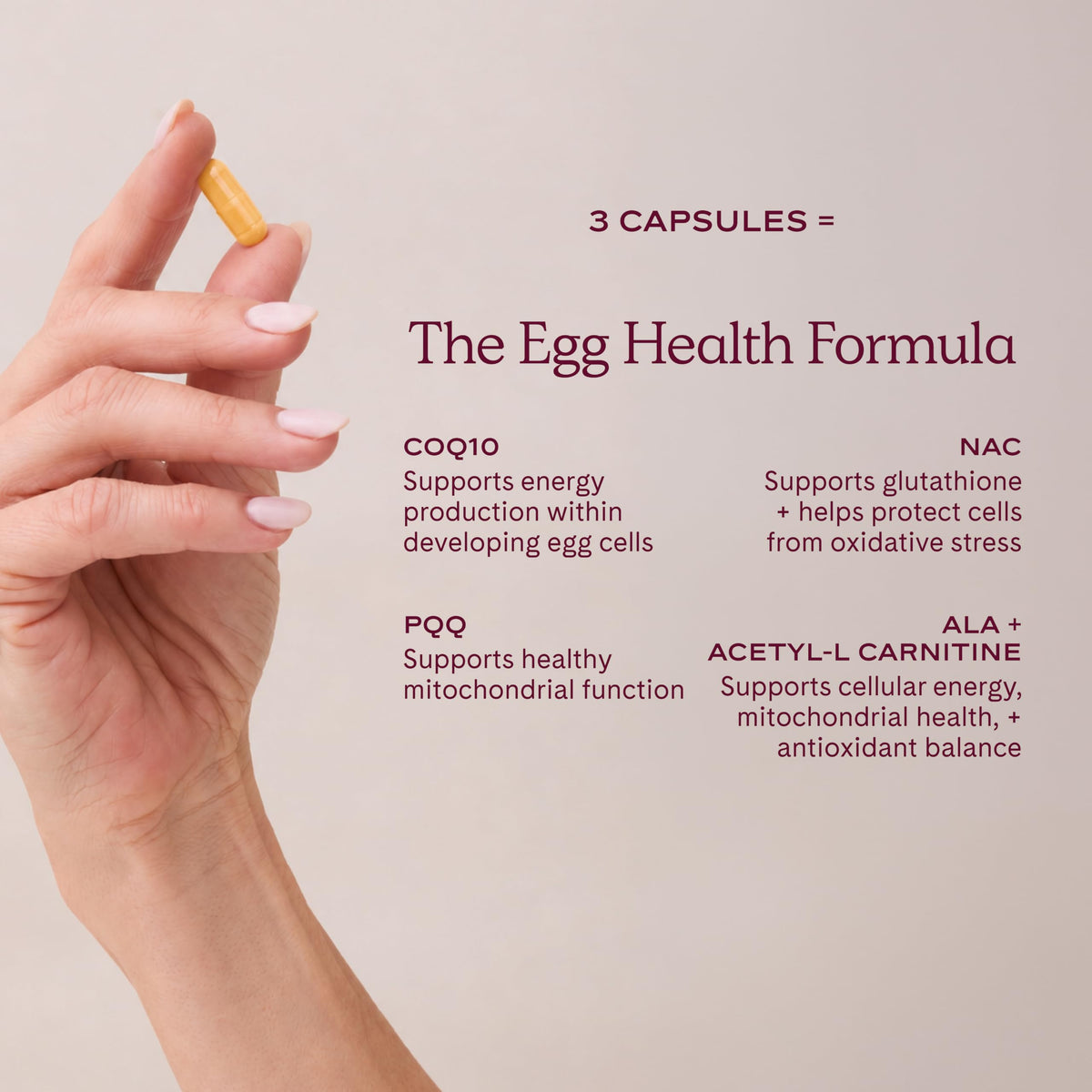 WeNatal Egg Quality+ capsules avec des aliments sains