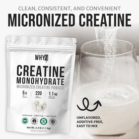 WHYZ Poudre de Créatine Monohydrate 1100g utilisation dans un smoothie