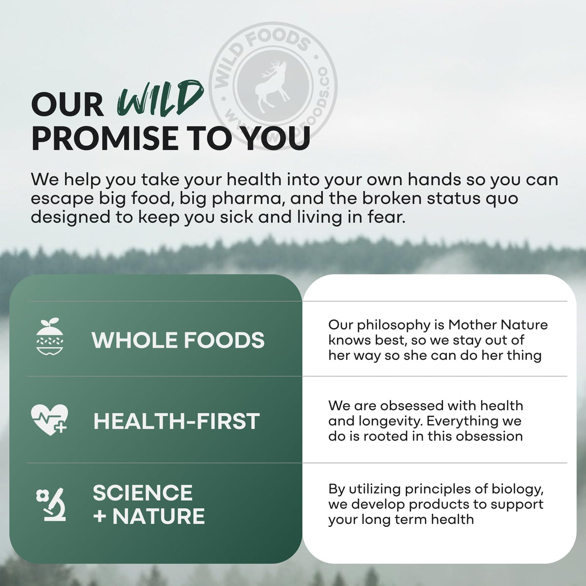 Wild Foods Complément Alimentaire Prébiotique et Probiotique - présentation sur une table
