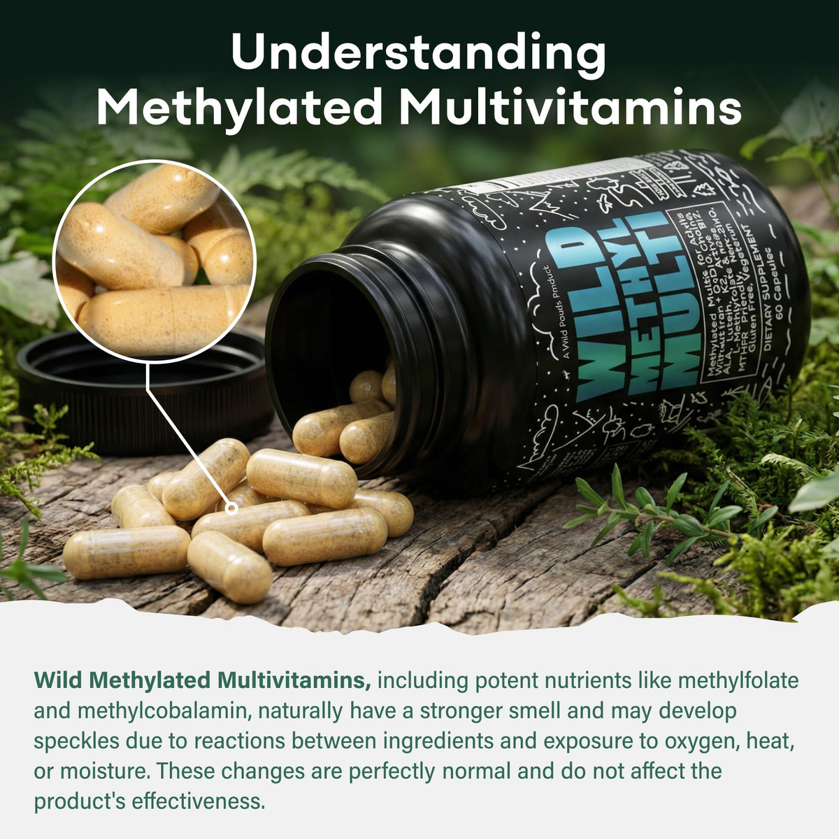 Wild Foods Multivitamines Methylées 120 Capsules - capsules à l'intérieur