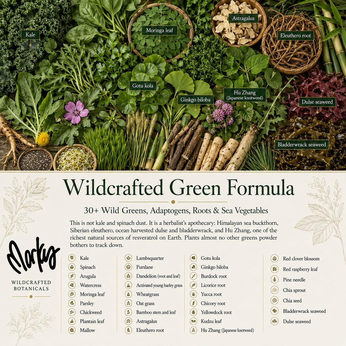 Wild Force GreenPro-C mélange dans un smoothie