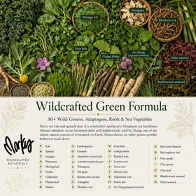 Wild Force GreenPro-C mélange dans un smoothie