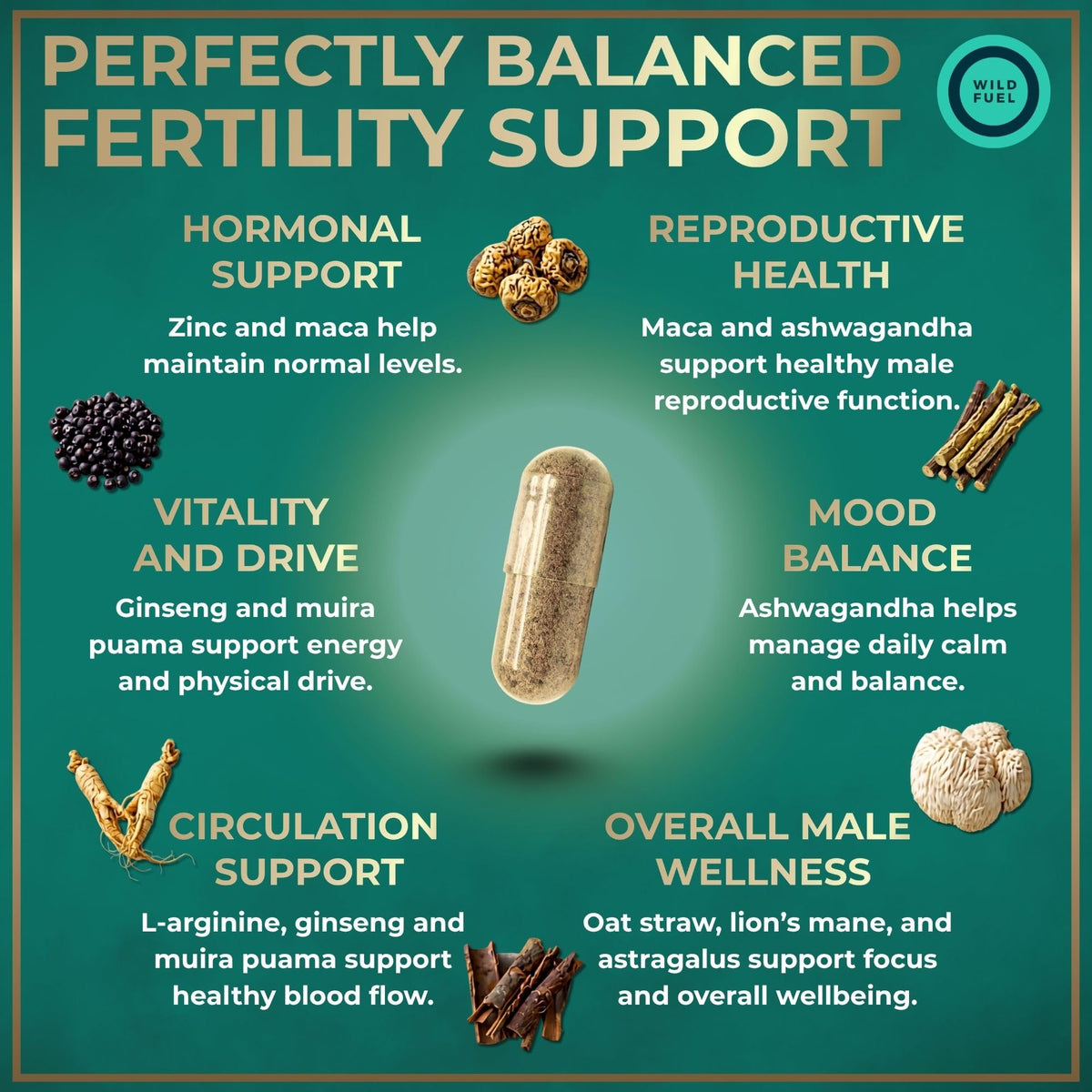 WILD FUEL Compléments Alimentaires Fertilité Masculine 120 Caps, capsules sur une table
