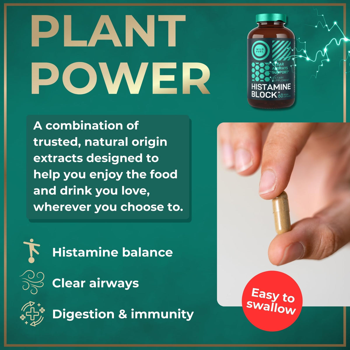 WILD FUEL Compléments Alimentaires Flavonoïdes 60 Capsules avec ingrédients en arrière-plan