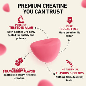 WILD GAINZ Gummies de Créatine Sans Sucre ouvertes avec une poignée de gummies