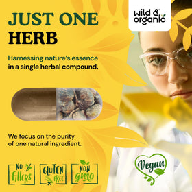 Wild & Organic capsules de maca noire avec dosage de 500 mg