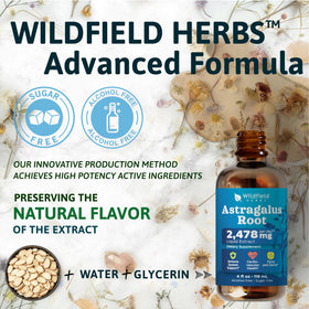 WILDFIELD HERBS extrait de racine d'Astragale en verre doseur
