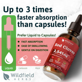 WILDFIELD HERBS Extrait de Trèfle Rouge 4 oz avec goutteuse