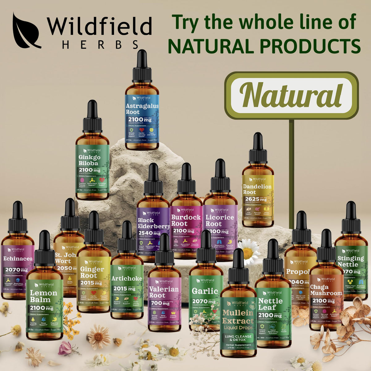 WILDFIELD HERBS Extrait de Trèfle Rouge 4 oz avec ingrédients affichés