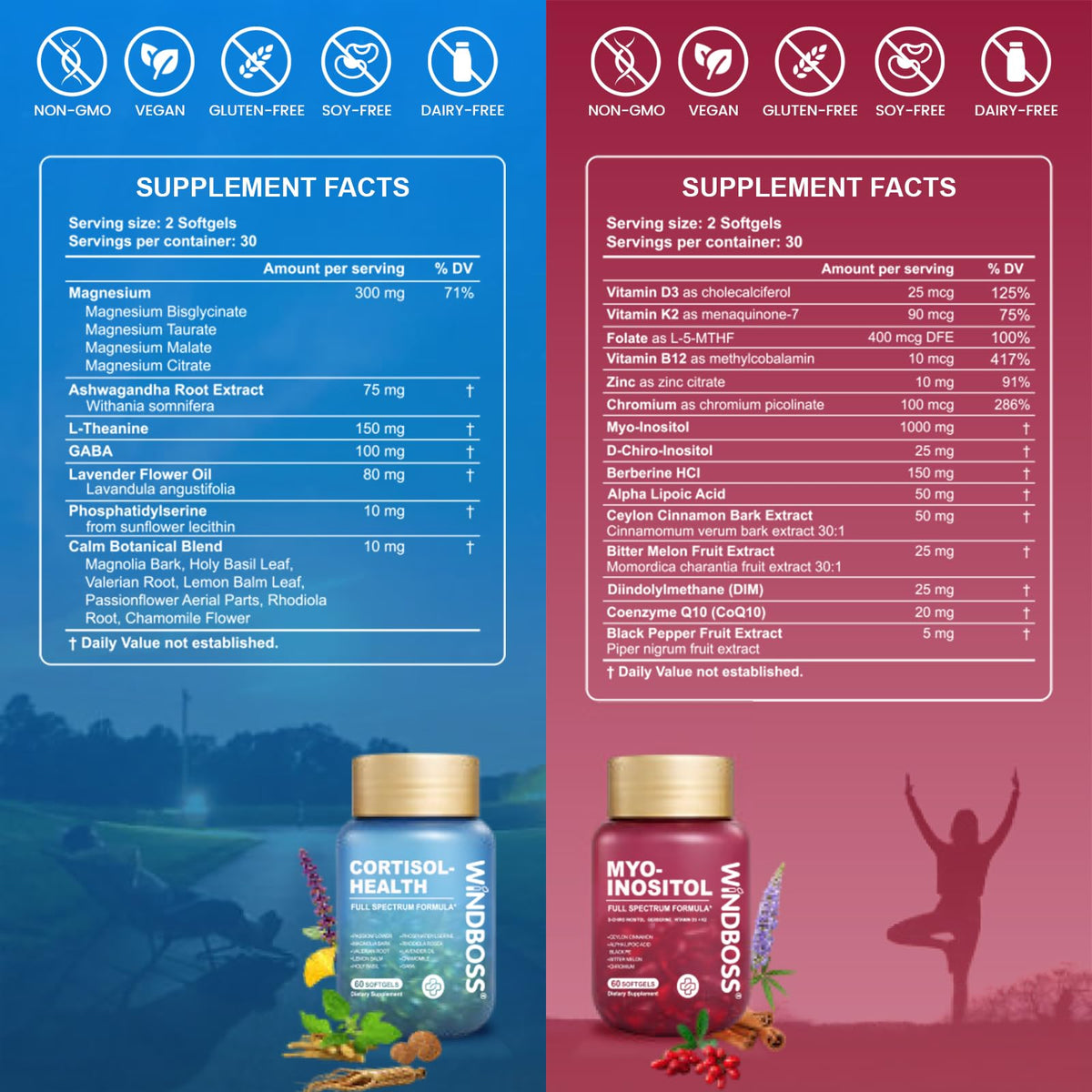Windboss Compléments Alimentaires Myo Inositol 120 gélules avec étiquette