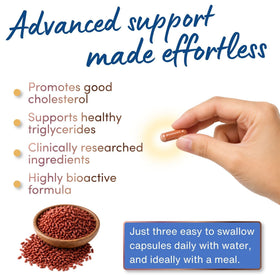 WINDSOR BOTANICALS Compléments Alimentaires Cholestérol et sa composition
