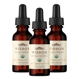 Wisdom Nutrition Complément Alimentaire Bio Curcuma 60 ml vue avant