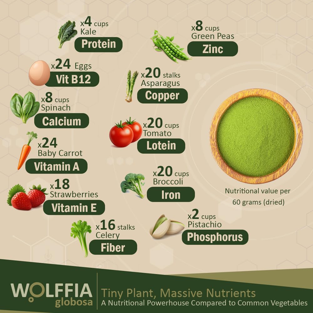 Wolffia globosa 60g avec description des nutriments