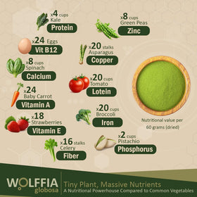 Wolffia globosa 60g avec description des nutriments