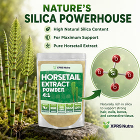 XPRS Nutra Poudre d'Extrait de Prêle 231g contenu