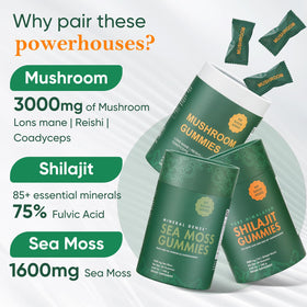 Xuore gummies champignons avec lions mane et ashwagandha en gros plan