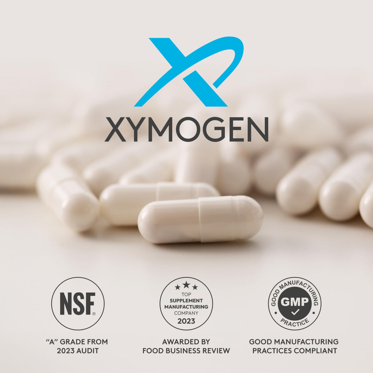 XYMOGEN GI Balance Powder Chai powder texture
