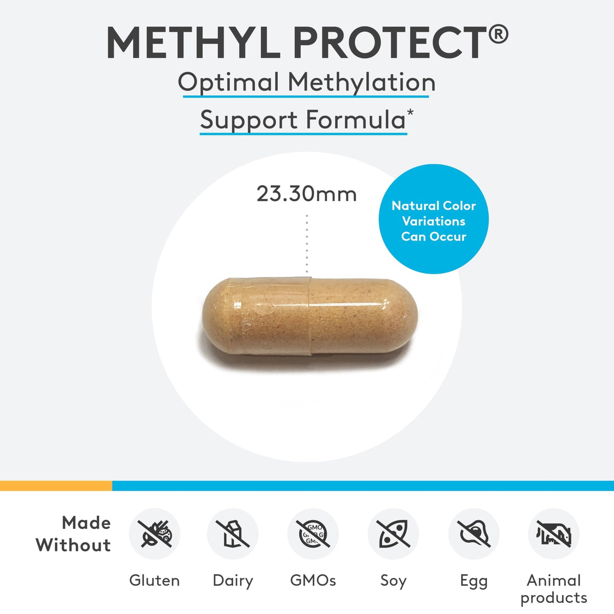 XYMOGEN Methyl Protect 60 Capsules - prise de vue en gros plan des capsules
